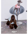 Malibu Sunset Stripe Pet Vest