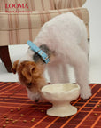 Elevated Ceramic Handmade Raised Pet Feeding Bowl