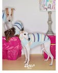 Malibu Sunset Stripe Pet Vest