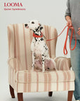 Leather Adjustable Pet Collar and Leash