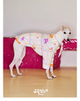Playful Circus Lounge Pet Set