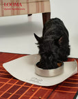 Stainless Steel Dog Bowl Non Slip Pet Feeding Bowl