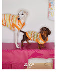 Honey Stripe Knit Pet Vest