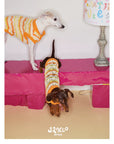 Honey Stripe Knit Pet Vest