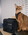 Breathable Travel Cat Carrier Tote