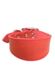 Leather Adjustable Pet Collar and Leash