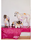 Playful Circus Lounge Pet Set
