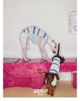 Malibu Sunset Stripe Pet Vest