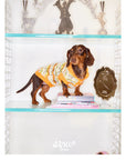 Honey Stripe Knit Pet Vest