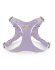 Adjustable Leather Dog Harness and Leash