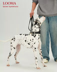 Leather Adjustable Pet Collar and Leash