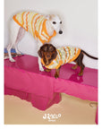 Honey Stripe Knit Pet Vest