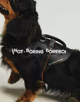 Urban Barkin Leather Walking Set