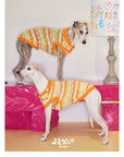 Honey Stripe Knit Pet Vest