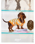 Honey Stripe Knit Pet Vest