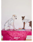 Dalmatian Muse Print Vest