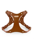 Adjustable Leather Dog Harness and Leash