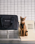 Breathable Travel Cat Carrier Tote
