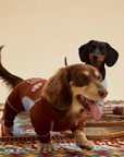Major League Pup 06