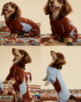 Major League Pup 06