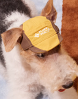 City Elite FC Cap