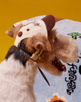 Clubhouse Classic Pet Cap