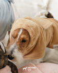 Plush Quick-Dry Pet Bath Robe