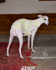 Garden Friends Pet Vest