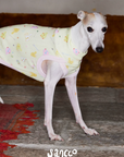 Garden Friends Pet Vest