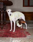 Garden Friends Pet Vest