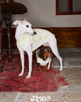 Garden Friends Pet Vest