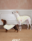Garden Friends Pet Vest