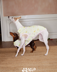 Garden Friends Pet Vest