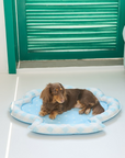 Blue Seashell Cooling Pet Mat