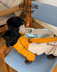Adventure Shell Lightweight Pet Windbreaker