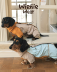 Adventure Shell Lightweight Pet Windbreaker