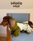 Adventure Shell Lightweight Pet Windbreaker