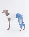 Washed Ripped Baggy Jeans