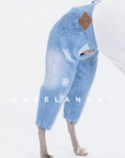 Washed Ripped Baggy Jeans