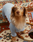 Major League Pup 06