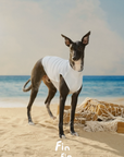 Capri Summer Cooling Vest & Bandana Set