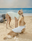 Capri Summer Cooling Vest & Bandana Set