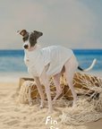 Capri Summer Cooling Vest & Bandana Set