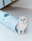 2-in-1 Cooling Tunnel Pet Mat