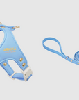 Color Gemstone Harness