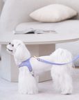 Color Gemstone Harness