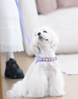 Color Gemstone Harness