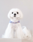 Color Gemstone Harness