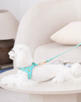 Color Gemstone Harness