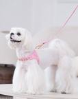 Color Gemstone Harness